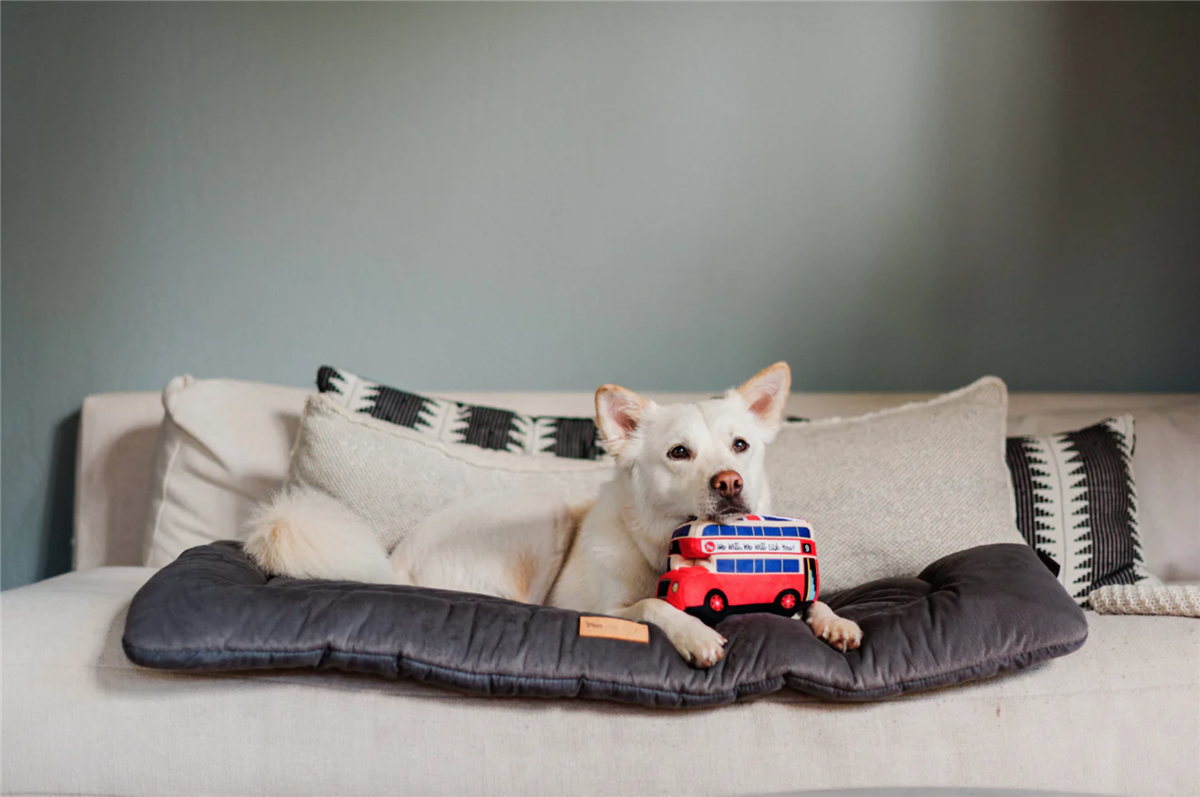 Canine Commute Collection - Lickety-split Bus