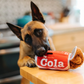 Snack Attack Collection Good Boy Cola