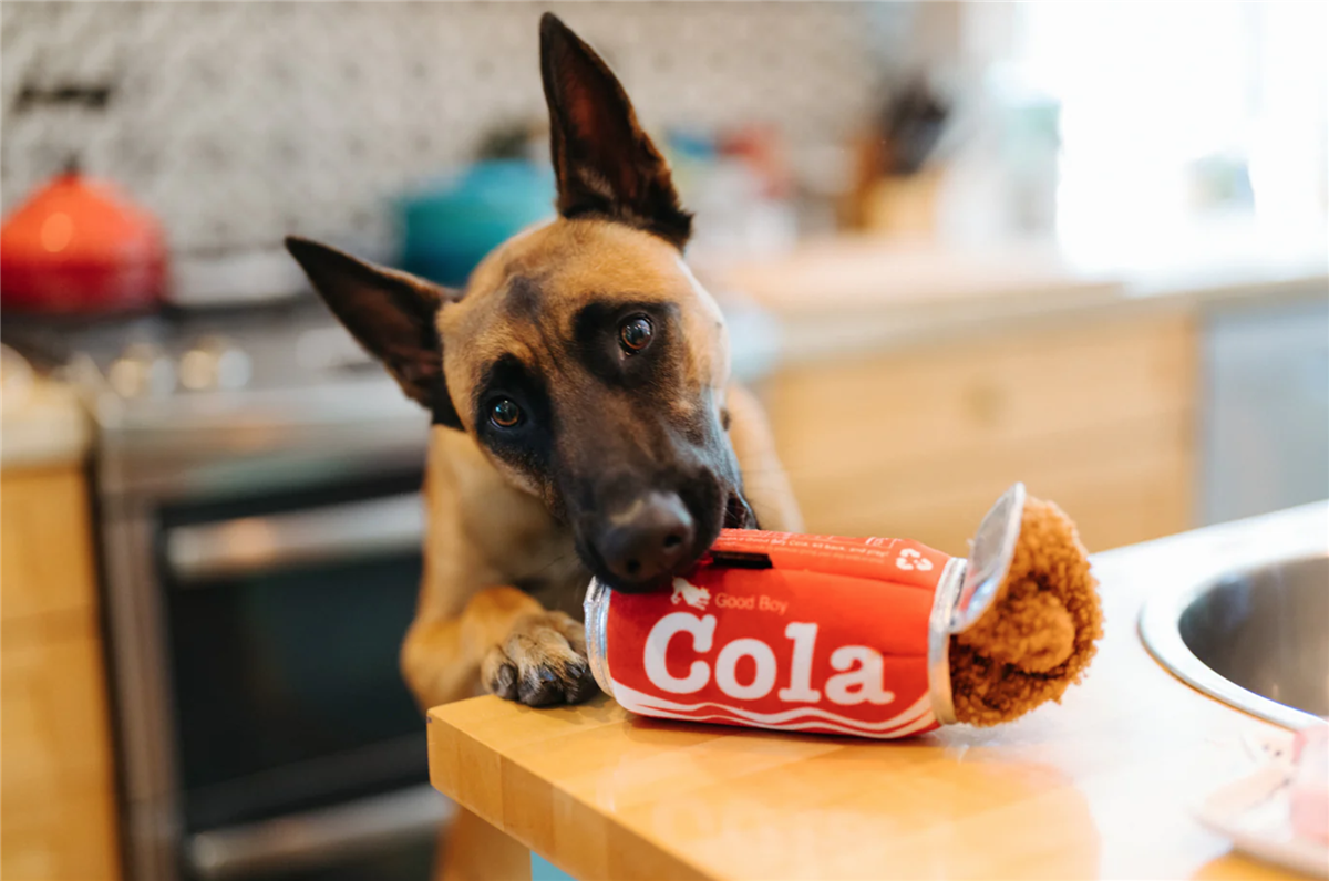 Snack Attack Collection Good Boy Cola